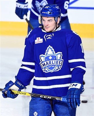 Zach Hyman Poster 3564276