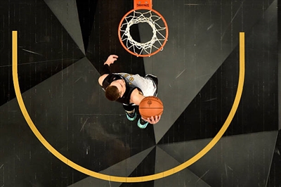 Zach LaVine Poster 3417203
