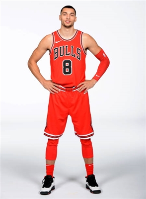 Zach LaVine Poster 3417307