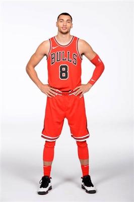Zach LaVine Poster 3417371