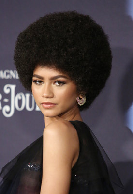 Zendaya Poster 2834880