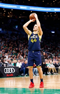 Bojan Bogdanovic Poster 4043028