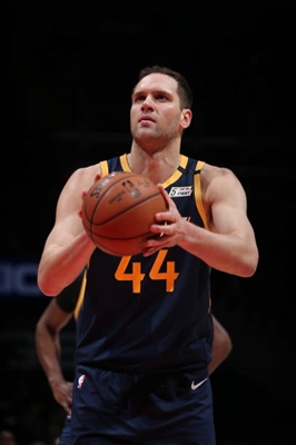 Bojan Bogdanovic Poster 4043030