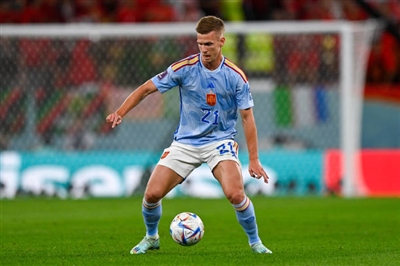Dani Olmo Poster 4159481