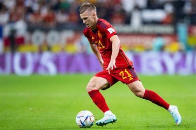 Dani Olmo Poster 4159484