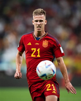 Dani Olmo Poster 4159485