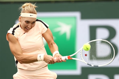 Elena Vesnina Poster 4095440