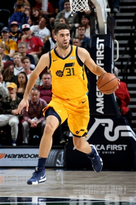 Georges Niang Poster 4005814