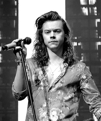 Harry Styles Poster 4084468