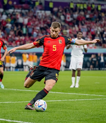 Jan Vertonghen Poster 4159908