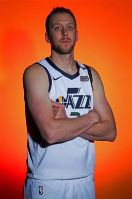 Joe Ingles Poster 4096702