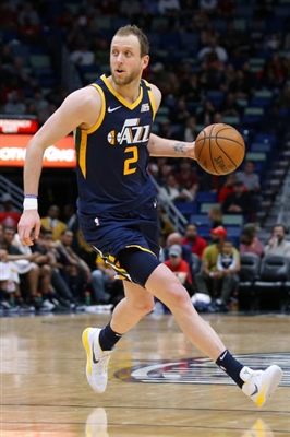 Joe Ingles Poster 4096704