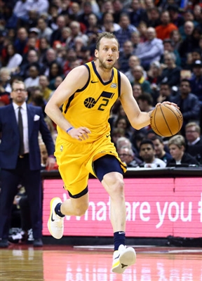 Joe Ingles Poster 4096705