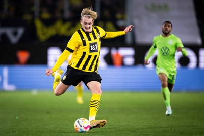 Julian Brandt Poster 4159638
