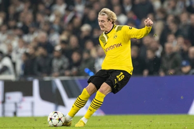 Julian Brandt Poster 4159641