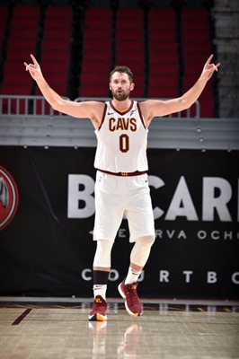 Kevin Love Poster 4047725