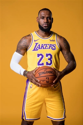 Lebron James Poster 4082631