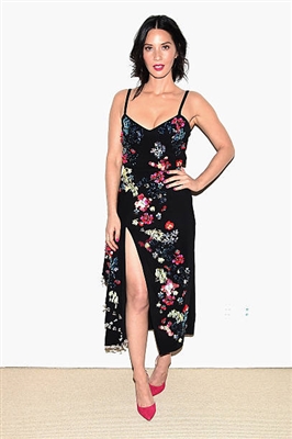 Olivia Munn Poster 4084145