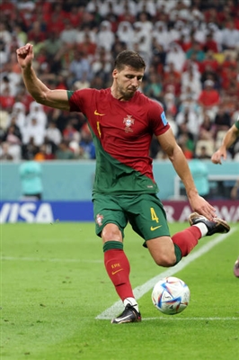 Ruben Dias Poster 4160829