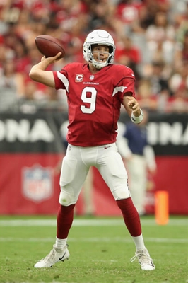 Sam Bradford Poster 4018273