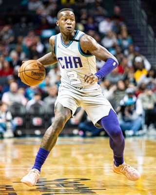 Terry Rozier Poster 4044532