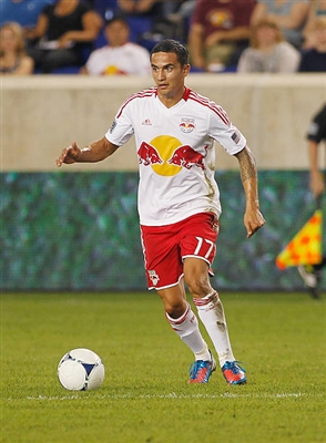 Tim Cahill Poster 3989133