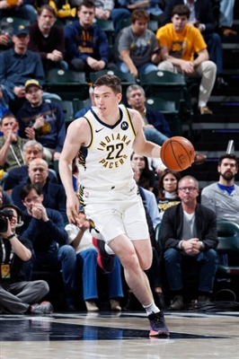 Tj Leaf Poster 4004657
