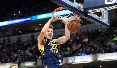 Tj Leaf Poster 4004658