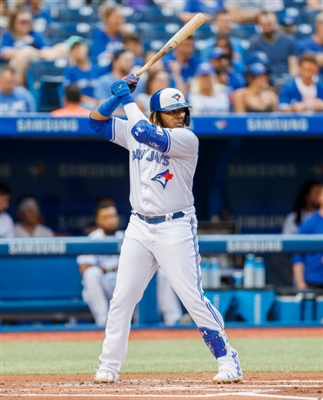 Vladimir Guerrero Jr. Poster 4030589