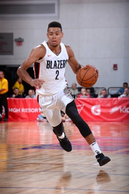 Wade Baldwin Iv Poster 4042645