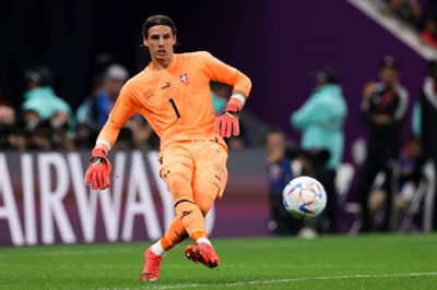 Yann Sommer Poster 4160245
