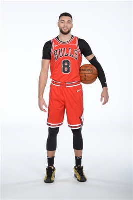 Zach Lavine Poster 4090246